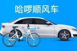 （7分钟科普）文山州政府网通知公告_哔哩哔哩